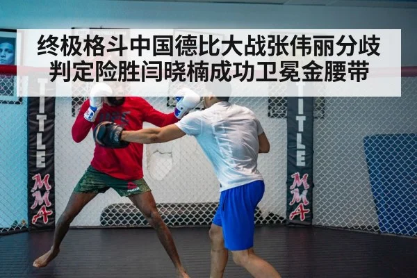UFC fight